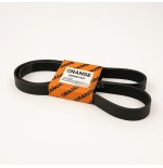 CATERPILLAR-C7-C9-V-RIBBED-BELT - View 1 CATERPILLAR-C7-C9-V-RIBBED-BELT - View 1